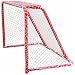 54" Steel Goal with Hood & Back Bars