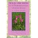 Wild Orchids of the Northeastern United States: A Field and Study Guide to the Orchids Growing Wild in New England, New York, and Adjacent Pennsylvania and New Jersey (Comstock Books)