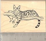 Bengal Cat in Tree Rubber Stamp - Wood Mounted