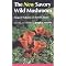 Mycology:  of Fungi and Mushrooms