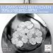 Beethoven: Triple Concerto; Septet