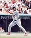 Albert Pujols St. Louis Cardinals 8x10 Photo