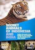 Wildlife - Secret Animals Of Indonesia And India