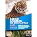 Wildlife - Secret Animals Of Indonesia And India [DVD]