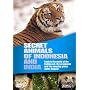 Wildlife - Secret Animals Of Indonesia And India [DVD]