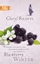 Blackberry Winter (Harlequin Next)