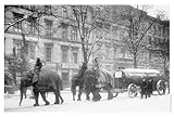 Produkt-Bild: Berlin