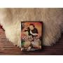 FRANK CALIENDO-The Giggles Shakey Cam DVD