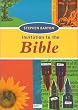 An Invitation to the Bible