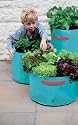 3 x Vegetable Patio Planters in Turquoise - Superb for home grown produce