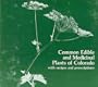 Common Edible and Medicinal Plants of Colorado, With Recipes and Prescriptions