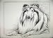 POLLYANNA PICKERING SHETLAND COLLIE DOG ANTIQUE PRINT
