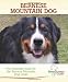 Bernese Mountain Dog: The Essential Guide for the Bernese Mountain Dog Lover (Breed Lover's Guide)