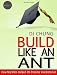 Build Like An Ant - How My Mom Helped Me Become Valedictorian