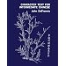Character Text for Intermediate Chinese (Yale Language Series)