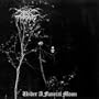 Under a Funeral Moon (Dig)