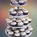 Cupcake Snap 6-Tier Round Acrylic Center Cupcake Stand and Dessert Tower