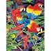 Parrot Paradise Jigsaw Puzzle 500pc