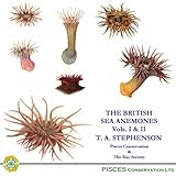 The British sea anemones