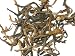 Imperial Golden Yunnan Black Tea, 4oz.
