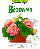 Begonias