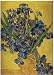 (13x19) Vincent van Gogh Iris in Vase Art Print Poster