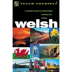 Welsh: A Complete Course in  Understanding Speaking and Writing (Teach Yourself)