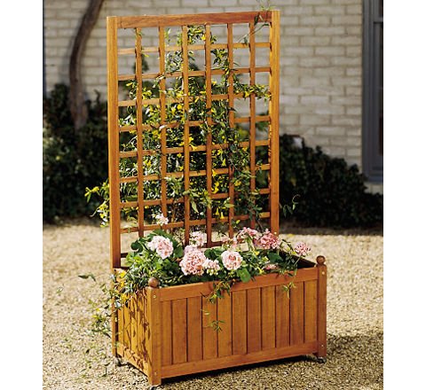 Trellis Box