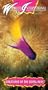 Wildlife International - Creatures Of The Coral Reef