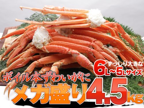 特大6L～5Lサイズ ボイルズワイガニ足(ずわい蟹)4.5kg