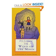 The Wind on the Moon