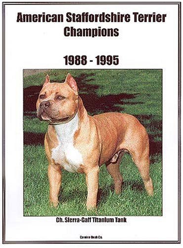 American Staffordshire Terrier