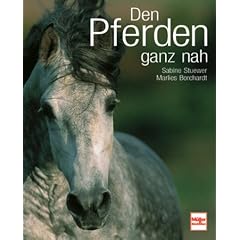 Den Pferden ganz nah