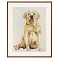 Sit! Framed Giclee - 18.25x22.5"