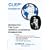 Review for the CLEP* General Humanities Examination