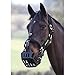 Padded Velcro Breakaway Safety Halter for GreenGuard Equine Horse Grazing Muzzle, (66/L) Large Horse/Warmblood