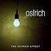 The Ostrich Effect (Expanded Version) The Ostrich Effect (Expanded Version)