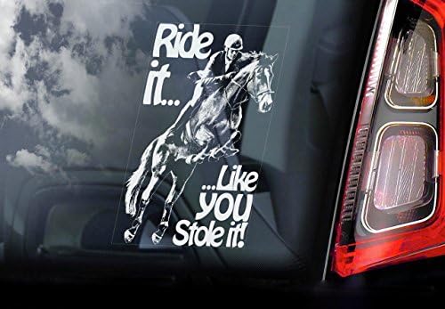 Ride It Like You Stole It Window Sticker