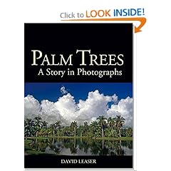 Palm Trees: A Story in Photographs