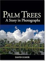 Palm Trees: A Story in Photographs