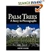 Palm Trees: A Story in Photographs