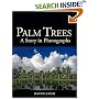 Palm Trees: A Story in Photographs