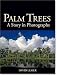 Search : Palm Trees: A Story in Photographs