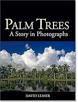 Palm Trees: A Story in Photographs