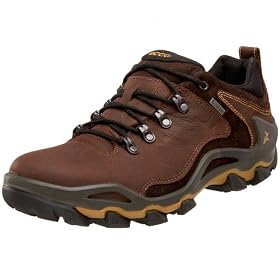 Buy ECCO Mens Dhaka Lo GTX Hiking Shoe