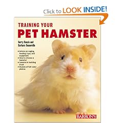 Training Your Pet Hamster