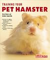 Training Your Pet Hamster