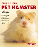 Training Your Pet Hamster