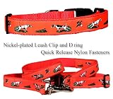 English Pointer Orange Collar Leash Set2