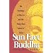 Sun-Face Buddha: The Teachings of Ma-Tsu and the Hung-Chou School of Ch'an